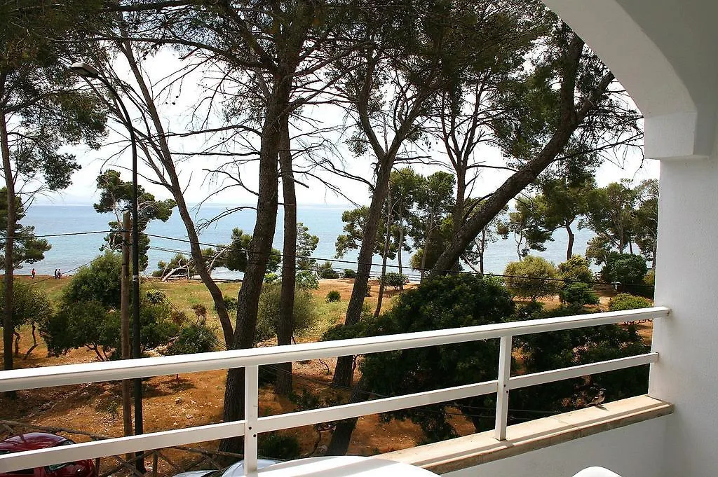 Apartaments Aucanada Port de Alcudia  Spain