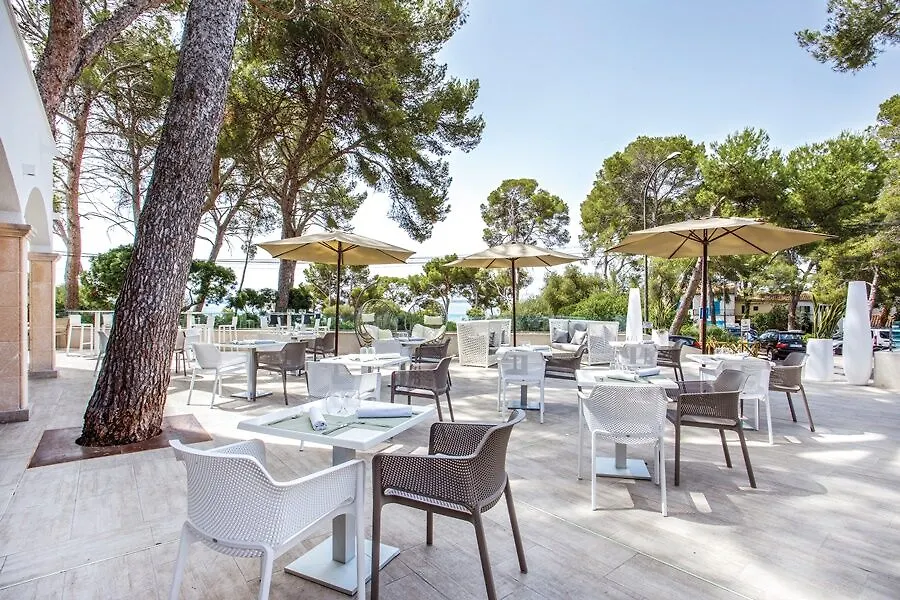 Apartaments Aucanada Port de Alcudia  Hotel